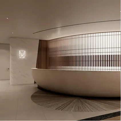 V.LIF Plastic Surgery